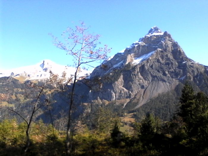 IMG_20201019_121455.jpg