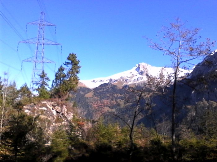 IMG_20201019_121503.jpg