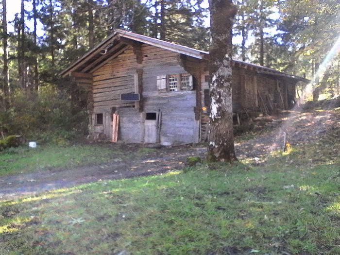 IMG_20201019_121643.jpg