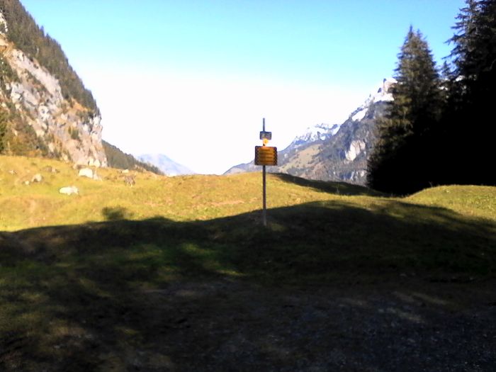 IMG_20201019_121700.jpg