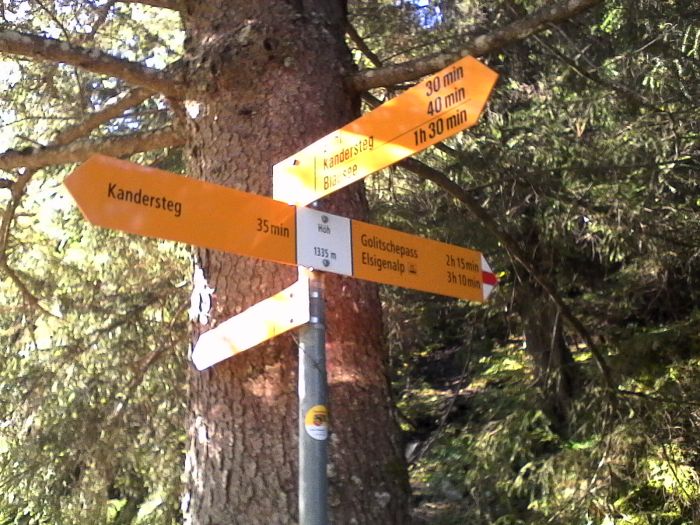 IMG_20201019_122028.jpg