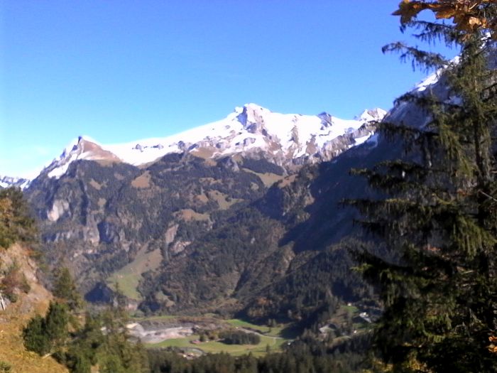 IMG_20201019_122330.jpg
