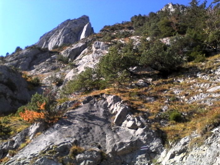 IMG_20201019_123222.jpg