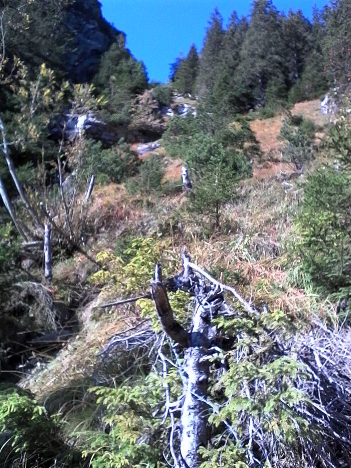IMG_20201019_124317.jpg