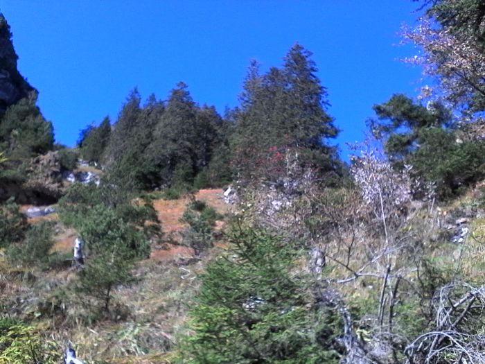 IMG_20201019_124332.jpg