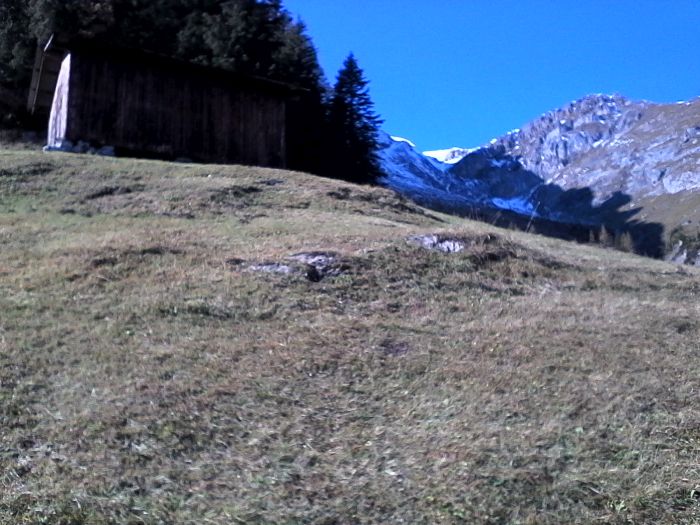 IMG_20201019_124911.jpg