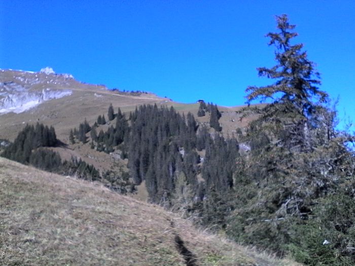 IMG_20201019_124926.jpg