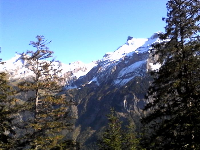 IMG_20201019_125006.jpg