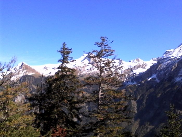 IMG_20201019_125015.jpg