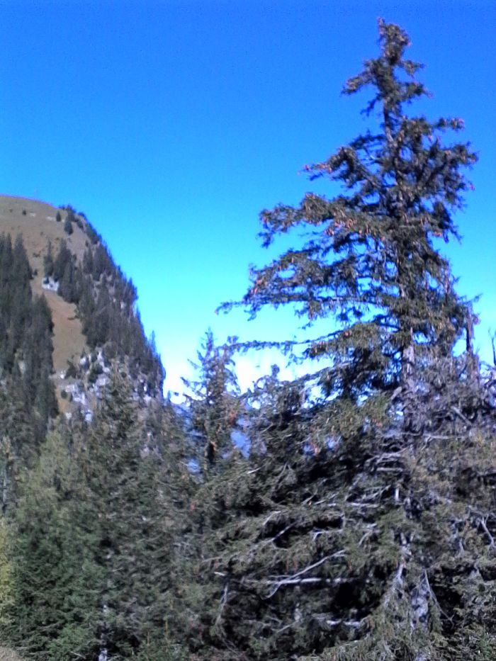 IMG_20201019_125027.jpg