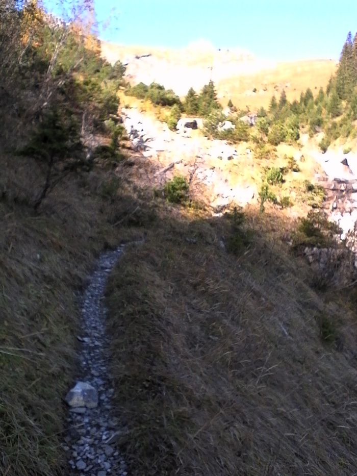 IMG_20201019_125740.jpg