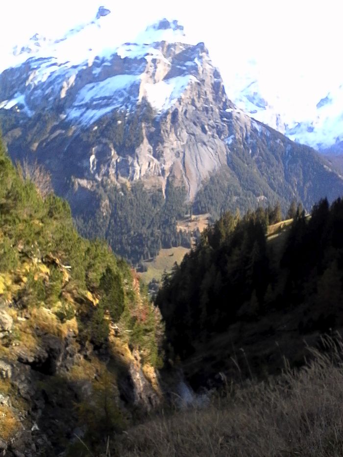 IMG_20201019_125801.jpg
