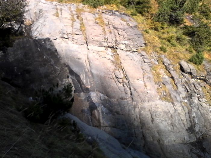 IMG_20201019_125813.jpg