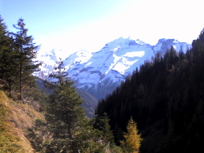 IMG_20201019_130058.jpg