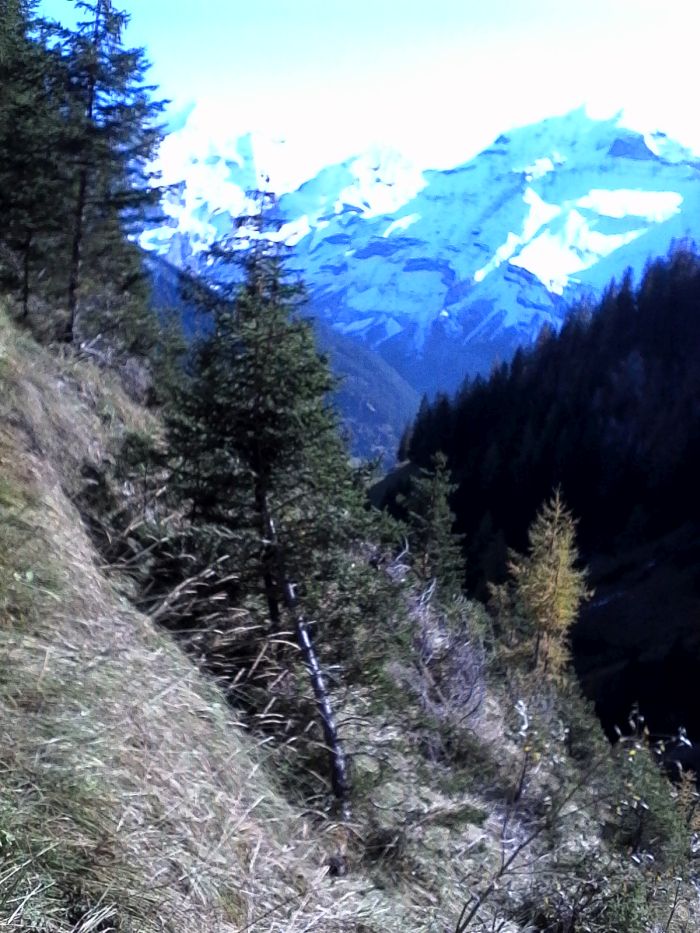 IMG_20201019_130130.jpg