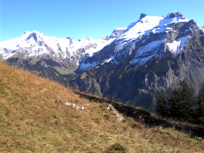 IMG_20201019_130304.jpg