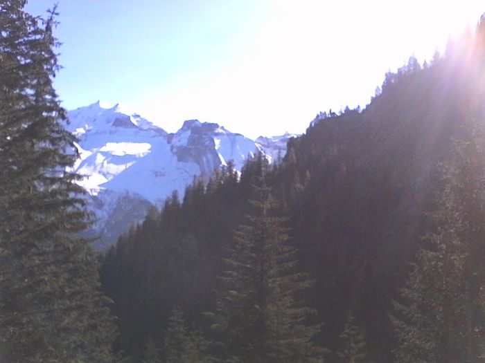 IMG_20201019_130415.jpg