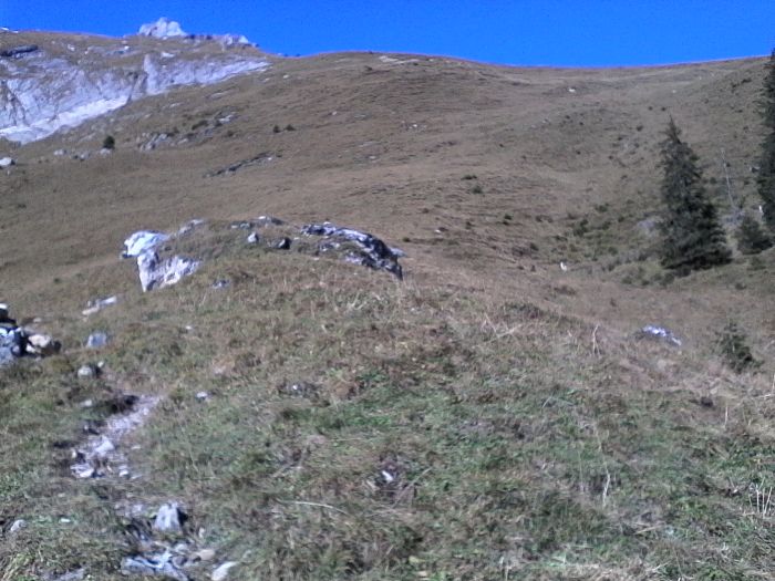 IMG_20201019_130825.jpg