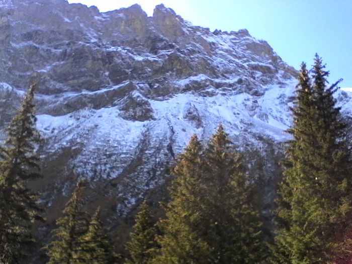 IMG_20201019_130903.jpg