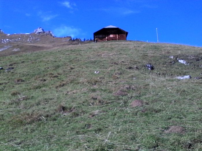 IMG_20201019_131610.jpg