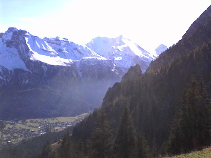 IMG_20201019_131642.jpg