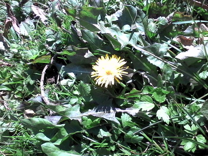 IMG_20201019_132327.jpg