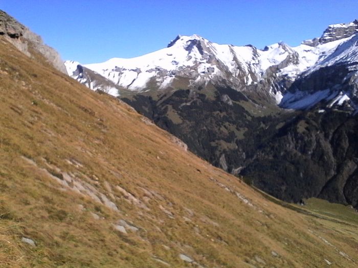 IMG_20201019_135700.jpg