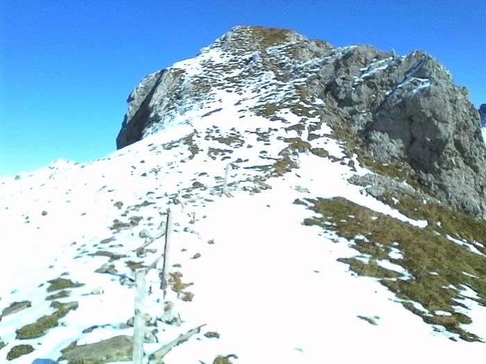 IMG_20201019_140600.jpg