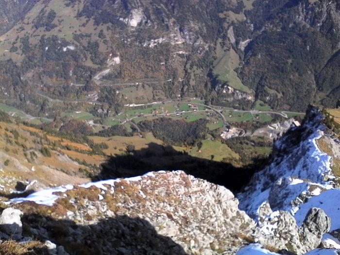 IMG_20201019_141135.jpg