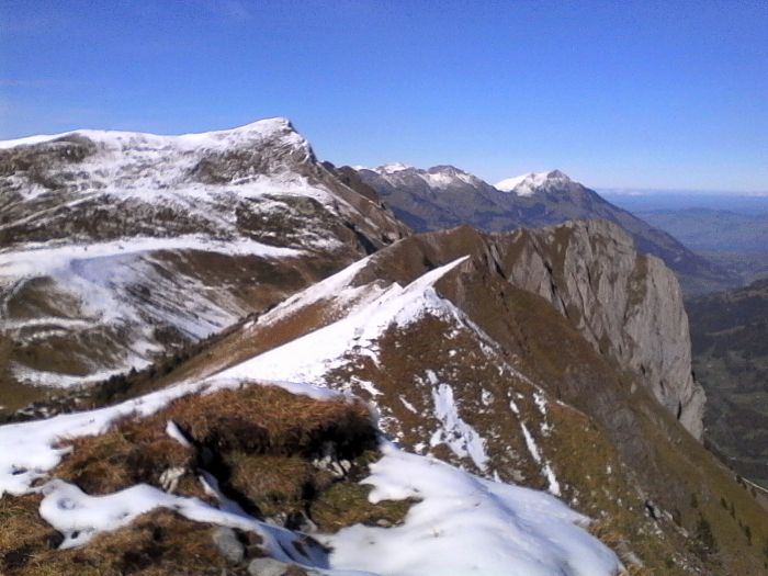 IMG_20201019_141211.jpg