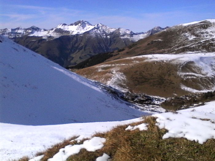 IMG_20201019_141219.jpg