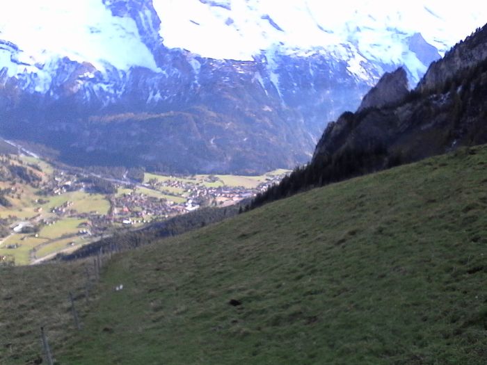 IMG_20201019_153800.jpg