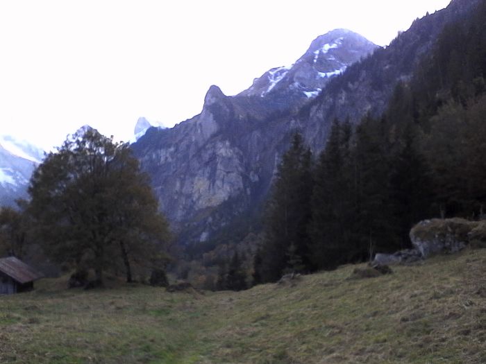 IMG_20201019_164456.jpg