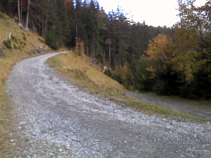 IMG_20201019_164931.jpg