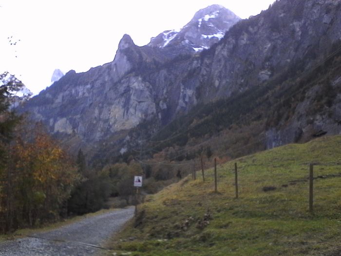 IMG_20201019_164942.jpg