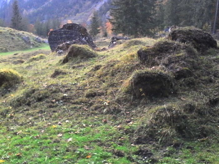 IMG_20201019_165444.jpg