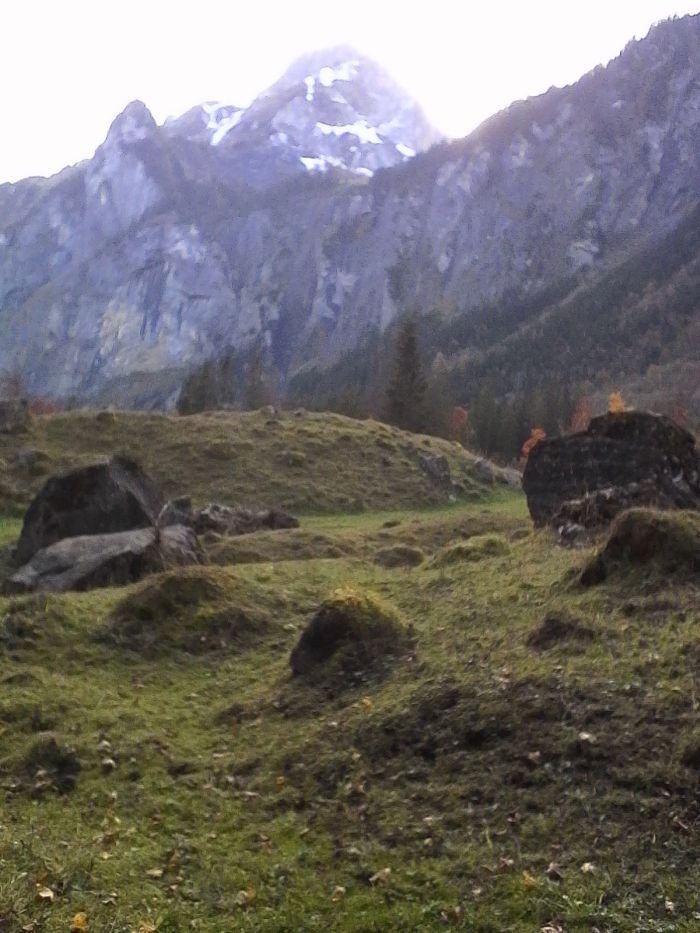 IMG_20201019_165509.jpg