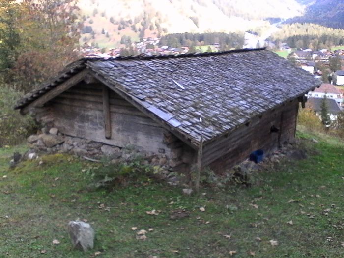 IMG_20201019_170438.jpg