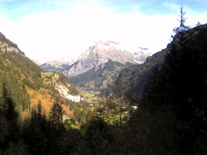 IMG_20201020_131941.jpg