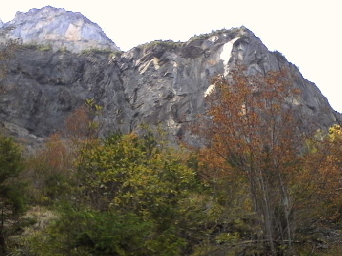 IMG_20201020_131958.jpg