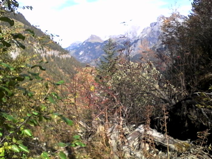 IMG_20201020_133151.jpg