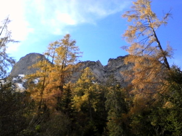 IMG_20201020_133928.jpg