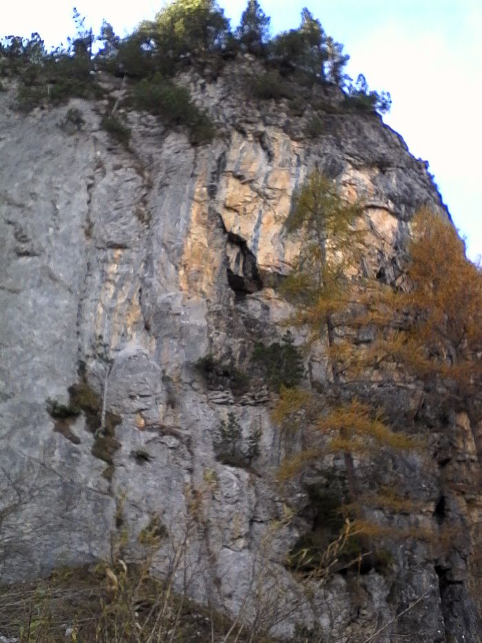 IMG_20201020_134552.jpg