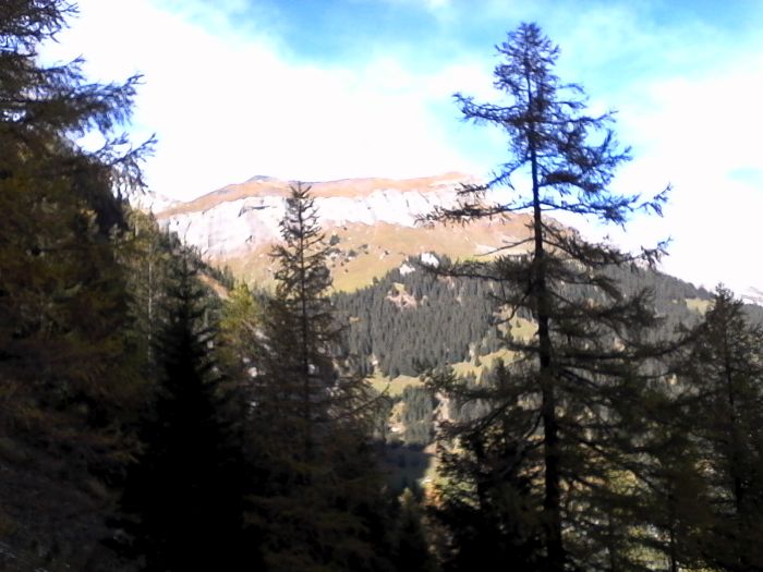 IMG_20201020_134608.jpg