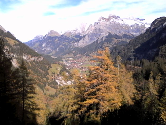 IMG_20201020_134616.jpg