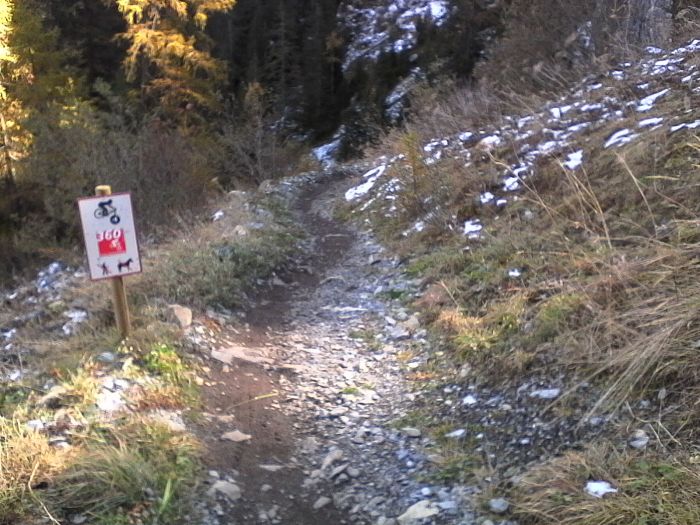 IMG_20201020_134818.jpg