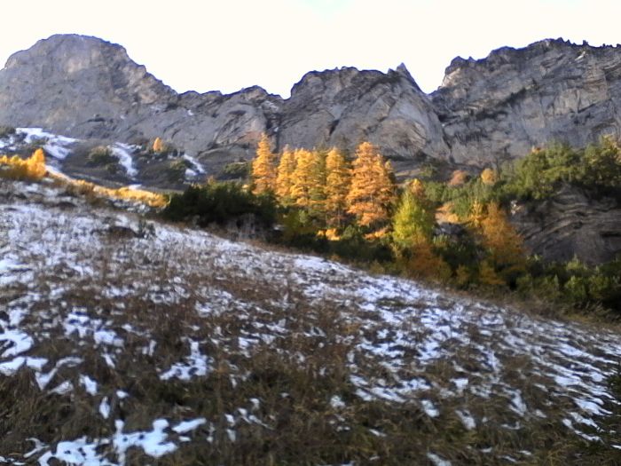 IMG_20201020_135104.jpg