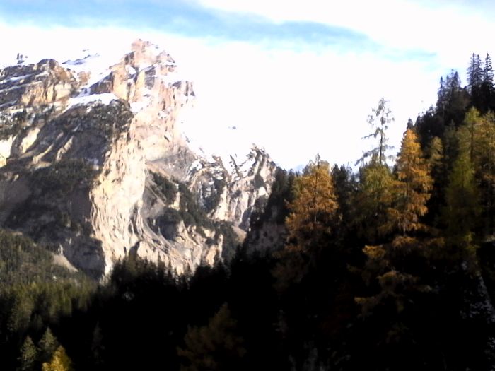 IMG_20201020_135140.jpg