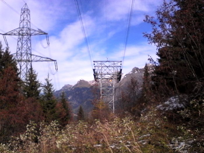 IMG_20201020_140136.jpg