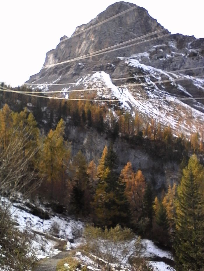 IMG_20201020_140205.jpg